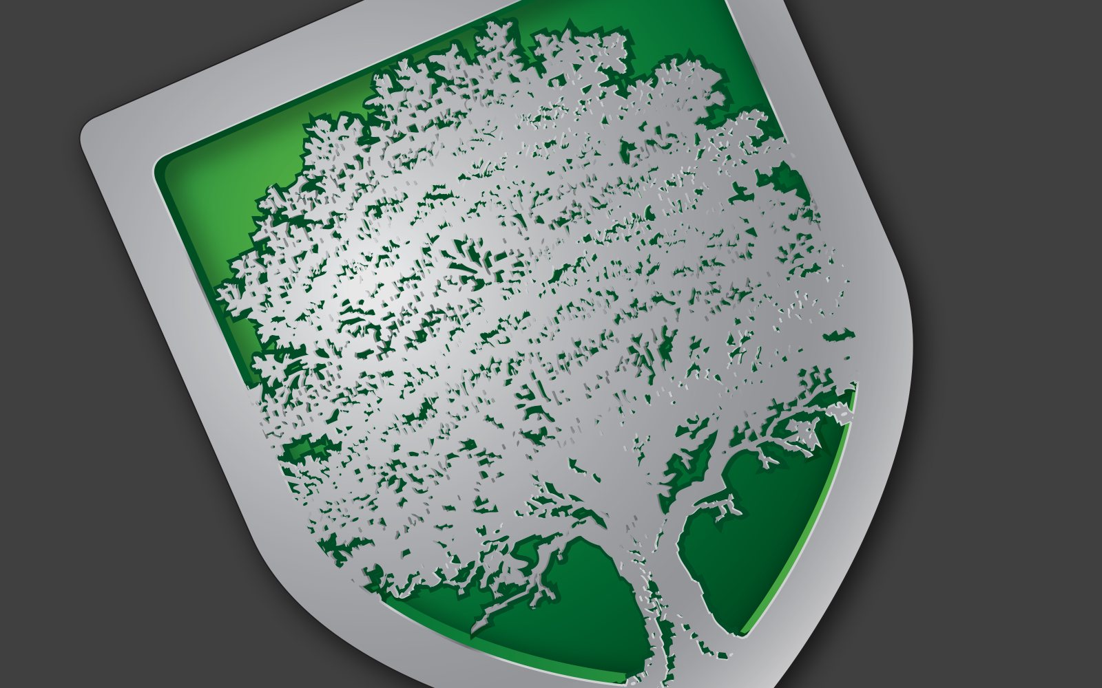 Group Branding — image 2